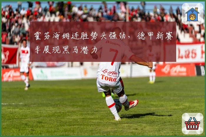 霍芬海姆连胜势头强劲，德甲新赛季展现黑马潜力