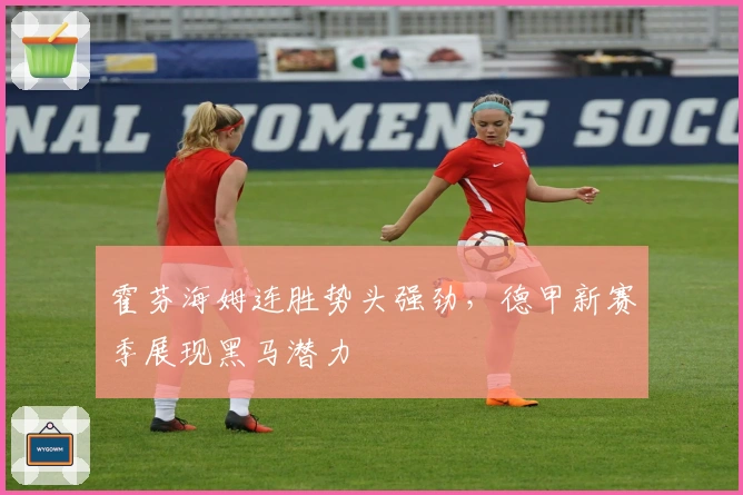 霍芬海姆连胜势头强劲，德甲新赛季展现黑马潜力