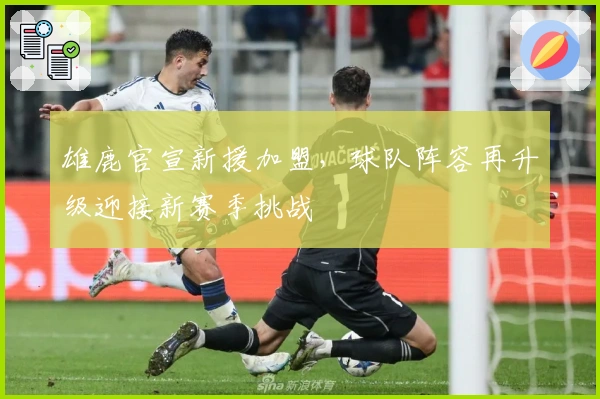 雄鹿官宣新援加盟，球队阵容再升级迎接新赛季挑战