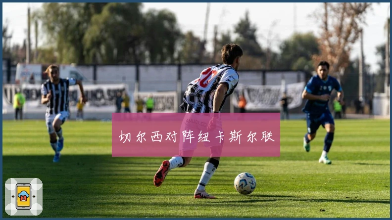 切尔西对阵纽卡斯尔联