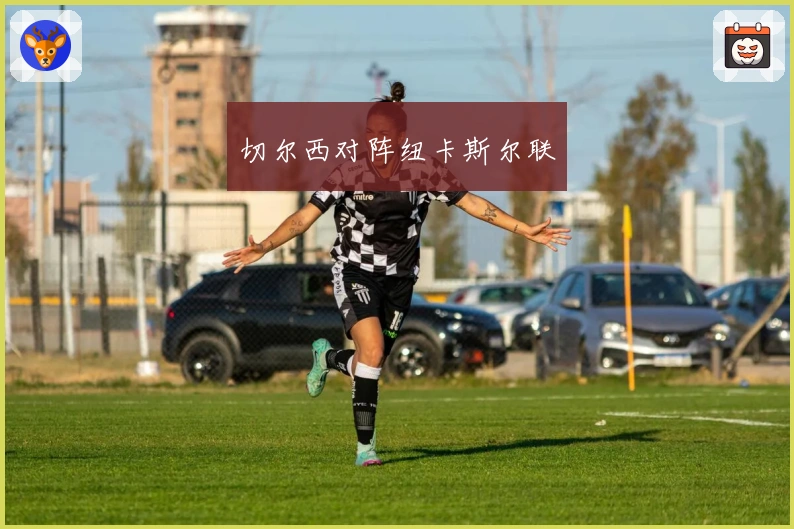 切尔西对阵纽卡斯尔联