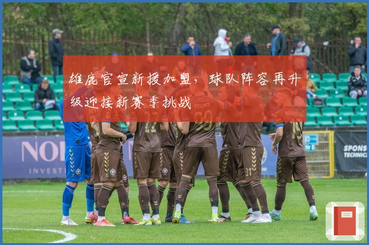 雄鹿官宣新援加盟，球队阵容再升级迎接新赛季挑战